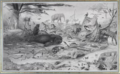 Adam and Eve and the Animals by Edouard Travies